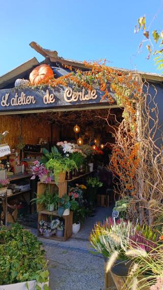 Fleuriste L'Atelier de Cerise 0