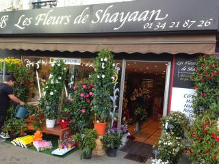 Fleuriste LES FLEURS DE SHAYAAN 0