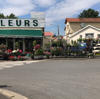 Fleuriste Fleuriste ioli Fleurs Maître Artisan Limeil-Brévannes, Valenton, Uber eats, Interflora, Boissy-Saint-Léger 0