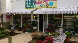 Fleuriste Fleurs Toutes Couleurs 0