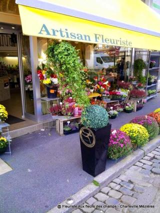 Fleuriste Aux Fleurs des Champs 0