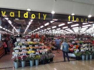 Fleuriste Valdoly Fleurs 0