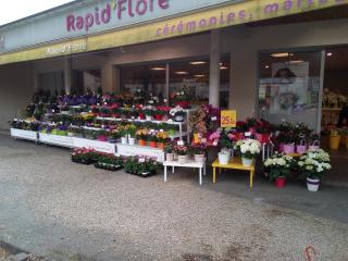 Fleuriste Rapid Flore 0