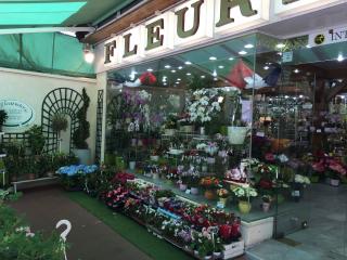 Fleuriste A la Fleuristerie 0