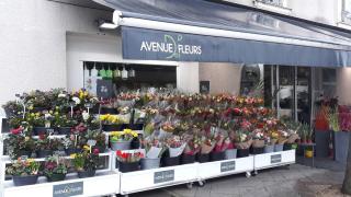 Fleuriste Avenue Des Fleurs Chateau Gontier 0