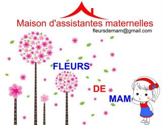 Fleuriste Fleurs De Mam 0