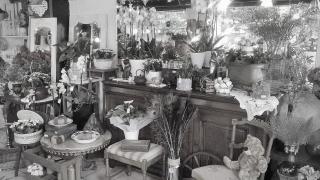 Fleuriste LA BOUQUETTERIE FLEURS ET BROCANTE 0