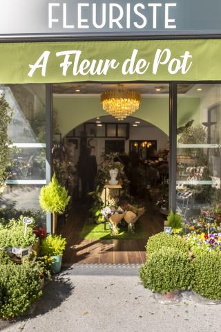 Fleuriste A Fleur de Pot 0